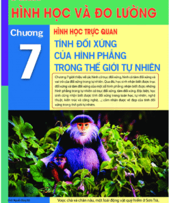 Chương 7