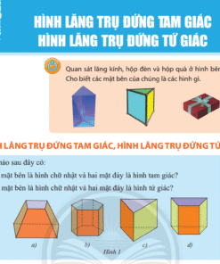 Bài 3. Hình lăng trụ đứng tam giác - Hình lăng trụ đứng tứ giác