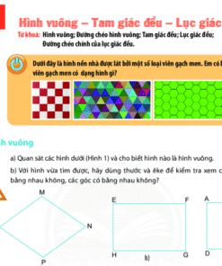 Bài 1. Hình vuông - Tam giác đều - Lục giác đều